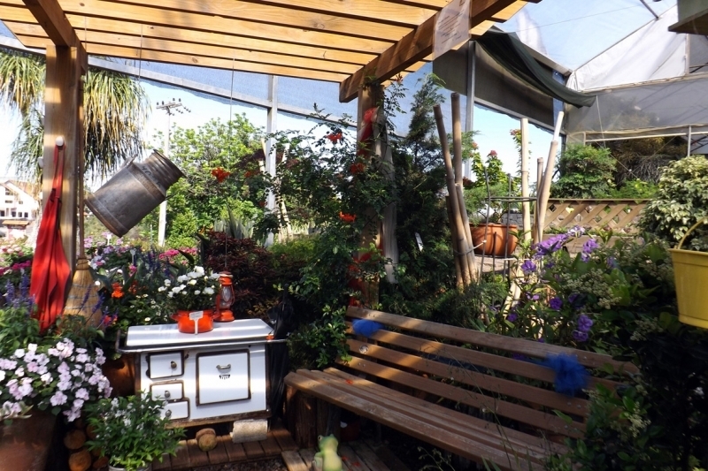 Festival da Primavera - Frhlingsfest